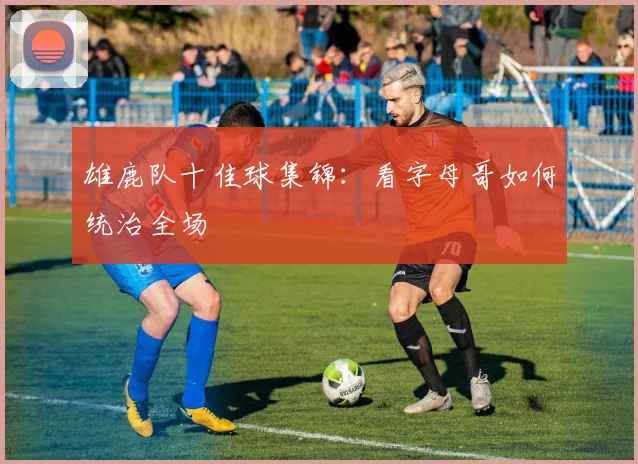 雄鹿队十佳球集锦:看字母哥如何统治全场